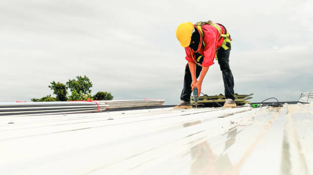 Best Asphalt Shingles Roofing  in Chicago Ridge, IL