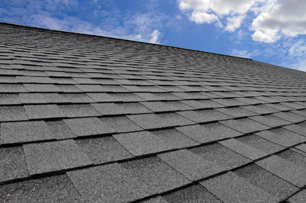 Best Rubber Roofing (EPDM, TPO)  in Chicago Ridge, IL